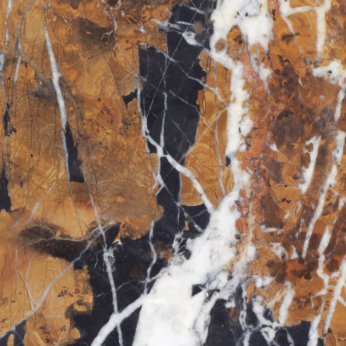 Black and gold marble